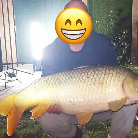 Domeglamping At Fishinglake *