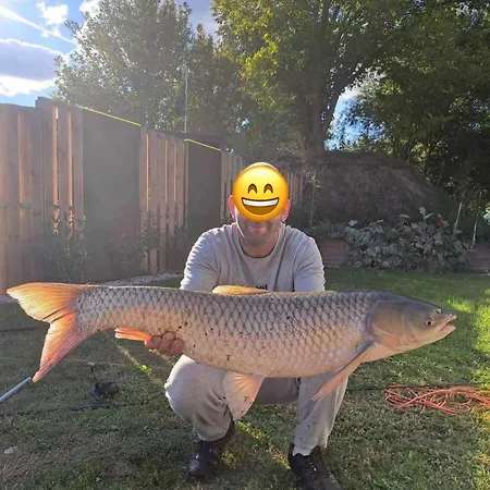 Domeglamping At Fishinglake Сагвар